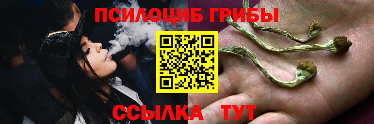 купить   Галлюциногенные грибы мухоморы  Вход с VPN  Галлюциногенные грибы GOLDEN TEACHER  Кемерово 